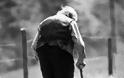 Μαγνησία: Λήστεψαν 93χρονο μέσα στο σπίτι του