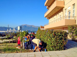 Δενδροφύτευση και καθαρισμός του περιβάλλοντος χώρου του Ογκολογικού Ξενώνα «Ελπίδα» από Προσκόπους - Φωτογραφία 1
