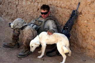 Τέξας: Το πρώτο εθνικό μνημείο προς τιμήν του «άγνωστου στρατιωτικού σκύλου» - Φωτογραφία 1