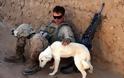 Τέξας: Το πρώτο εθνικό μνημείο προς τιμήν του «άγνωστου στρατιωτικού σκύλου»
