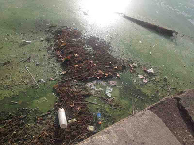 Σε απαράδεκτη κατάσταση η λίμνη της Καστοριάς. Μολυσμένη και βρώμικη [video] - Φωτογραφία 10