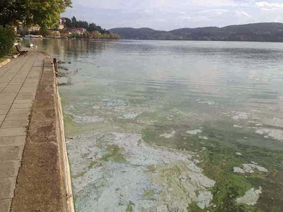 Σε απαράδεκτη κατάσταση η λίμνη της Καστοριάς. Μολυσμένη και βρώμικη [video] - Φωτογραφία 5