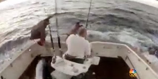 Ψαράς βουτά στη θάλασσα για να γλιτώσει από ξιφία! [video] - Φωτογραφία 1
