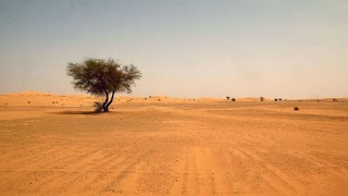 Βρέθηκαν νεκροί μετανάστες στη Σαχάρα - Φωτογραφία 1