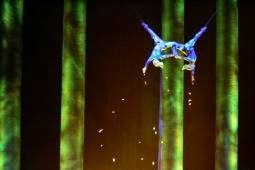 Πρόστιμο 25.000 δολαρίων στο Cirque du Soleil για μοιραία πτώση ακροβάτιδος - Φωτογραφία 1