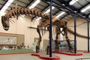 Ο μεγαλύτερος δεινόσαυρος στον κόσμο περπατά και πάλι μετά από 94 εκατ. χρόνια [video] - Φωτογραφία 1