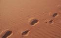 Νίγηρας: Τριήμερο εθνικό πένθος για το θάνατο 92 μεταναστών στην έρημο