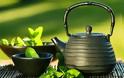 Πράσινο τσάι: Από τα πιο ευεργετικά ροφήματα