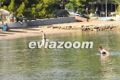Εύβοια : Αρχές Νοεμβρίου και τα μπάνια συνεχίζονται!