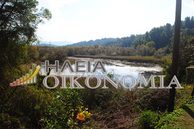 Υπό κατάληψη η χωματερή στις λίμνες. Αδιέξοδο με τα σκουπίδια στον Πύργο - Φωτογραφία 5