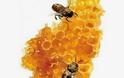 Μέλι: Το Νέκταρ των Θεών & το «Βουλγάρικο» μέλι