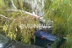 Χαλκίδα: Ο άνεμος κατέστρεψε περιουσίες!
