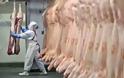 Συναγερμός στην Ευρώπη – Έρευνα για νέο διατροφικό σκάνδαλο με προϊόντα κρέατος στη βόρεια Γερμανία
