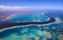 «Τσουνάμι» από αστερίες απειλεί τον Μεγάλο Κοραλλιογενή Ύφαλο στην Αυστραλία