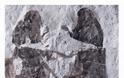 Σπάνια απολιθώματα εντόμων σε ερωτική συνεύρεση ανακάλυψαν οι επιστήμονες - Φωτογραφία 2