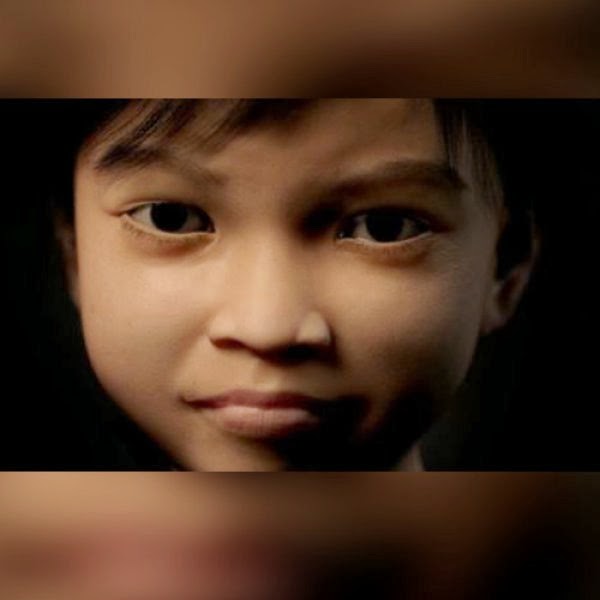 To ψηφιακό κοριτσάκι που «ξεσκέπασε» χιλιάδες παιδόφιλους σε όλο τον πλανήτη - Φωτογραφία 1