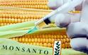 Επελαύνει στην Ευρώπη η Monsanto