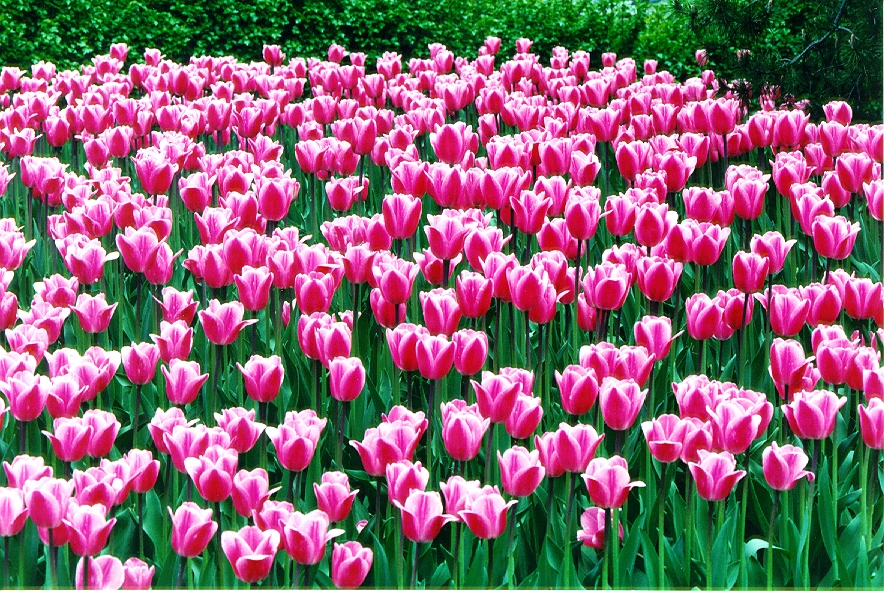 ΥΠΕΡΟΧΕΣ ΕΙΚΟΝΕΣ: Ένα μαγικό ταξίδι στα χρώματα του κόσμου! - Φωτογραφία 11