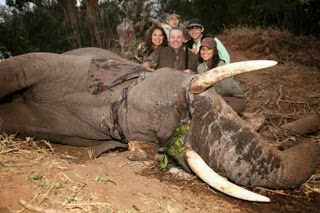 Θηριωδία από οικογένεια που σκότωσε ελέφαντα και πόζαρε δίπλα στο πτώμα - Φωτογραφία 1