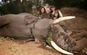 Θηριωδία από οικογένεια που σκότωσε ελέφαντα και πόζαρε δίπλα στο πτώμα