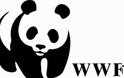 WWF: Τα δάση βρίσκονται σε κίνδυνο