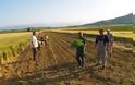 Τσαυτάρης: Πριμ έως 20.000 ευρώ σε 6.000 νέους αγρότες