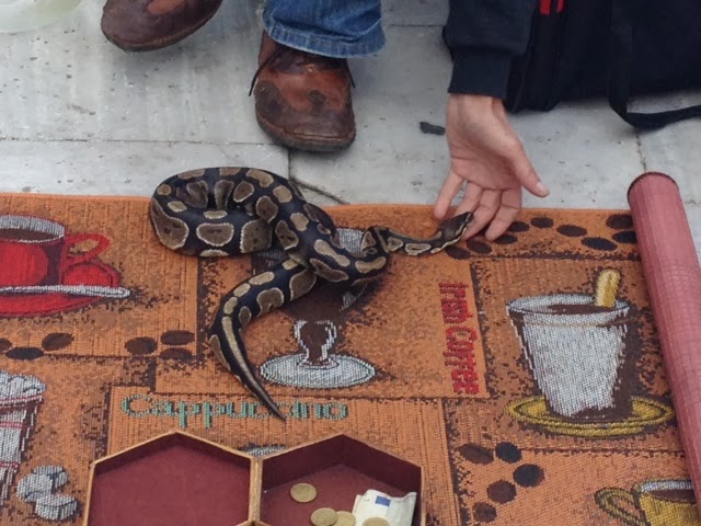 Φωτογραφηθείτε με... φίδι στην Πλατεία Αριστοτέλους! (ΦΩΤΟ) - Φωτογραφία 2