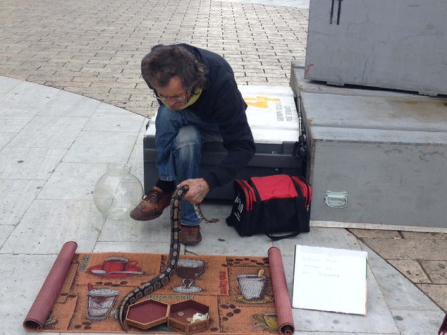 Φωτογραφηθείτε με... φίδι στην Πλατεία Αριστοτέλους! (ΦΩΤΟ) - Φωτογραφία 3