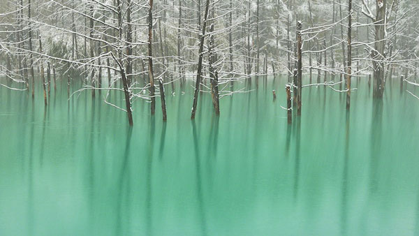 Πανέμορφη γαλάζια λίμνη αλλάζει χρώμα στη στιγμή! - Φωτογραφία 3