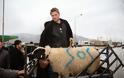 Στους δρόμους της Θεσσαλονίκης βγαίνουν σήμερα οι κτηνοτρόφοι