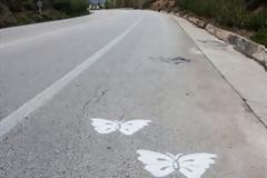 Συγκλονιστικές εικόνες! Ζωγράφισαν πεταλούδες στα σημεία που έχουν γίνει θανατηφόρα τροχαία