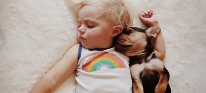 Η ιστορία αγάπης και... ύπνου ενός μωρού και ενός σκύλου που «έλιωσε» το Ίντερνετ - Φωτογραφία 1