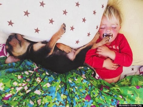 Η ιστορία αγάπης και... ύπνου ενός μωρού και ενός σκύλου που «έλιωσε» το Ίντερνετ - Φωτογραφία 7