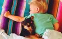 Η ιστορία αγάπης και... ύπνου ενός μωρού και ενός σκύλου που «έλιωσε» το Ίντερνετ - Φωτογραφία 9