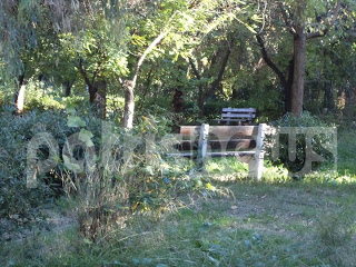 Πάτρα: Εικόνες ντροπής στο Σκαγιοπούλειο πάρκο που θυμίζει... ζούγκλα! - Φωτογραφία 1