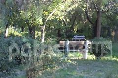Πάτρα: Εικόνες ντροπής στο Σκαγιοπούλειο πάρκο που θυμίζει... ζούγκλα!