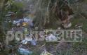 Πάτρα: Εικόνες ντροπής στο Σκαγιοπούλειο πάρκο που θυμίζει... ζούγκλα! - Φωτογραφία 2