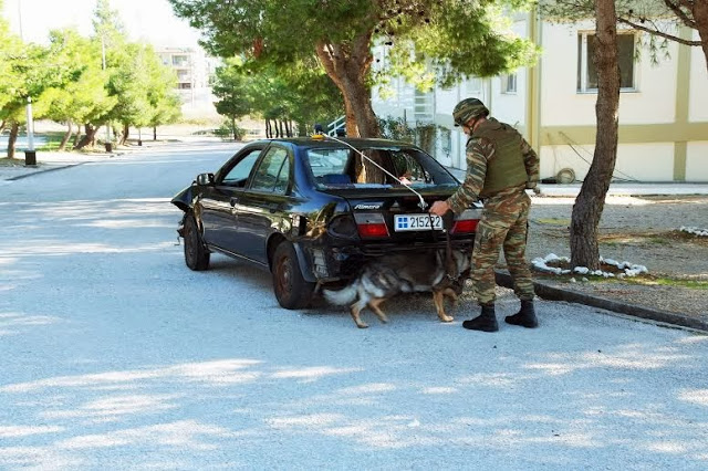 Εορτασμός Γενέθλιας Ημέρας στο ΤΕΝΞ - Φωτογραφία 6