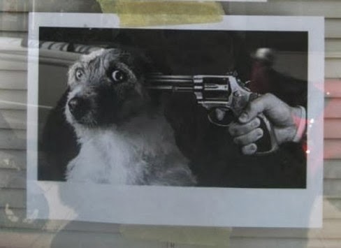 Καταστηματάρχης προειδοποιεί με αφίσα ότι θα σκοτώσει σκυλιά! - Φωτογραφία 1
