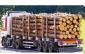 Αιτωλοκαρνανία: Κατασχέθηκαν δέκα τόνοι λαθραίας ξυλείας