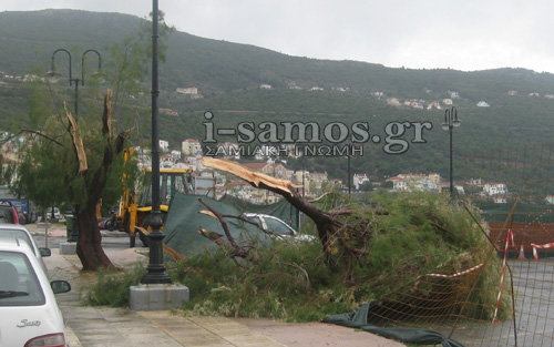 Ευτυχώς δεν είχαμε θύματα! Τα πήρε και τα σήκωσε! - Φωτογραφία 4