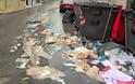 Η βροχή έβγαλε …βόλτα τα σκουπίδια στην οδό «Αρβάλη» στην Τρίπολη [Video]
