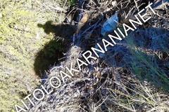 Πέταξαν μπάζα στο ρέμα στα Τριαντείκα Αγρινίου. Κίνδυνος πλημμύρας [Photos]