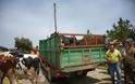 Γονατίζουν οι κτηνοτρόφοι στη Θράκη