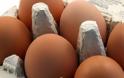 Σαλμονέλα σε μονάδα παραγωγής αυγών στην Πάφο