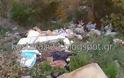 Κωσταράζι: Μια απέραντη χωματερή γύρω από τον οικισμό [photos]