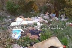 Κωσταράζι: Μια απέραντη χωματερή γύρω από τον οικισμό [photos]