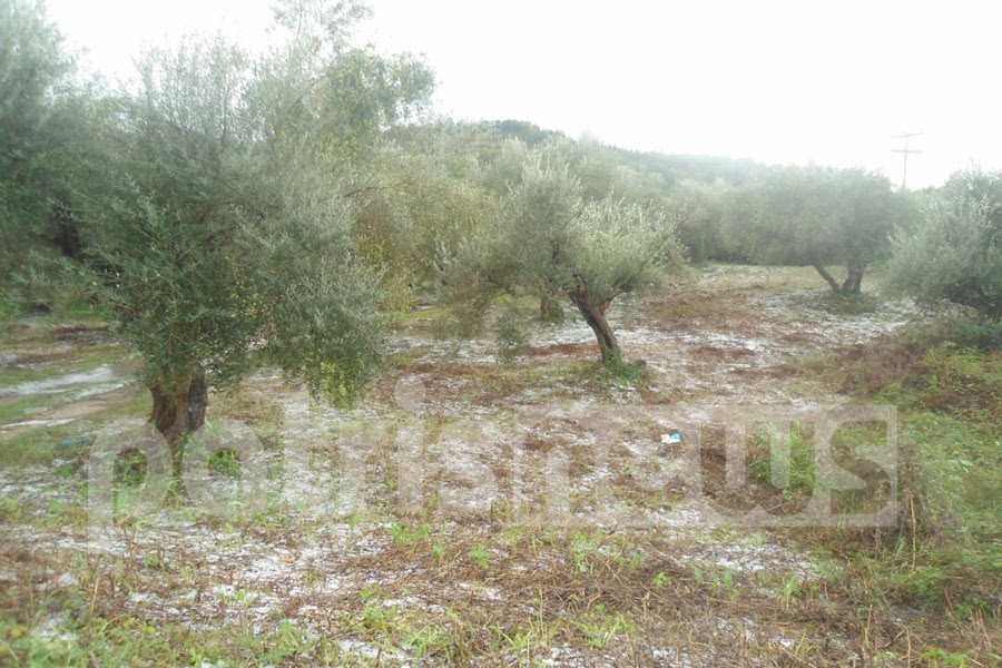 Hλεία: Χαλάζι σαν... χιόνι στην ορεινή ζώνη Ανδρίτσαινας-Κρεστένων! - Δείτε φωτο - Φωτογραφία 3