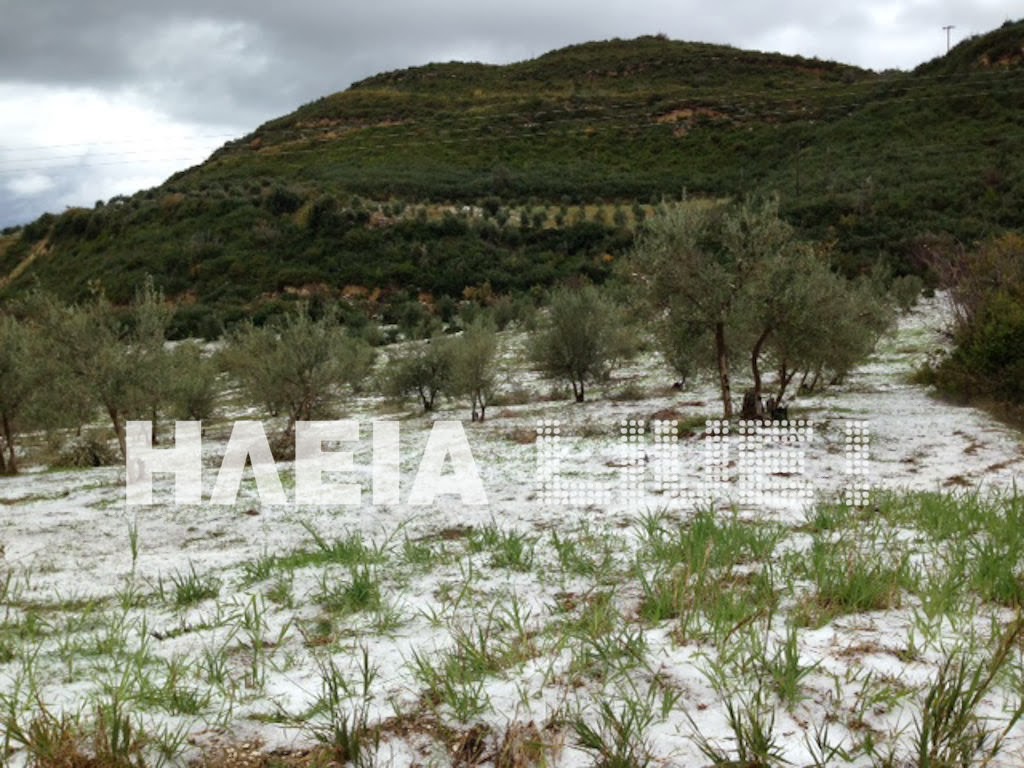 Ηλεία: Τετέλεσται! Tα χωριά της Κρέστενας θάφτηκαν στο χαλάζι - Φωτογραφία 5