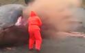Φάλαινα εξερράγη στα νησιά Φερόε! [video]